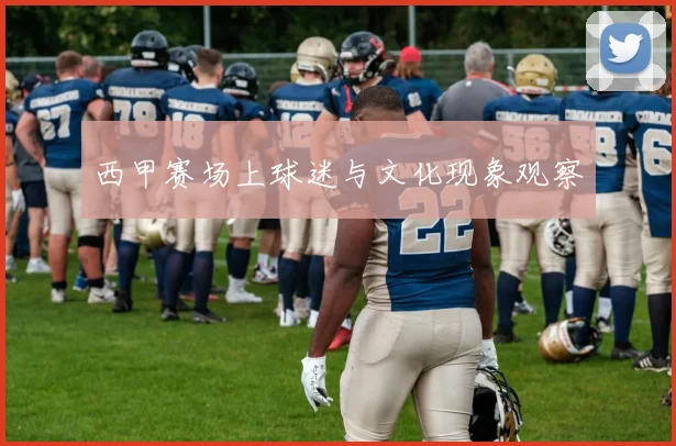 西甲赛场上球迷与文化现象观察