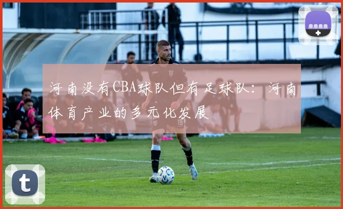 河南没有CBA球队但有足球队:河南体育产业的多元化发展