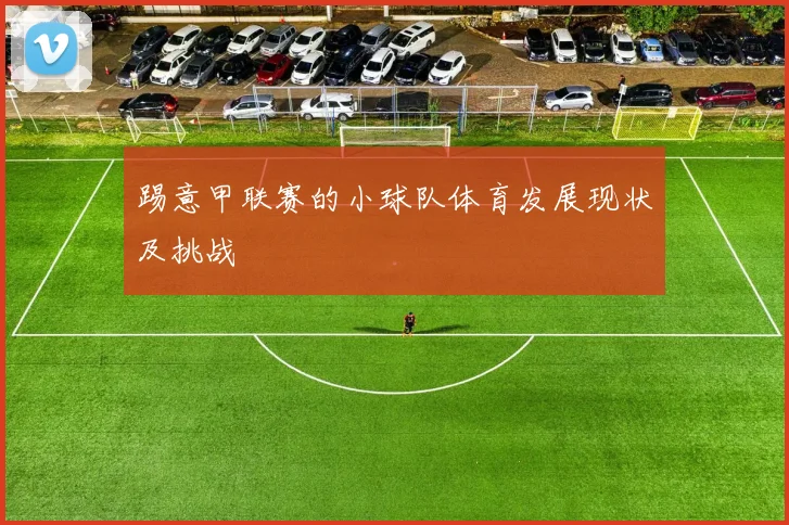 踢意甲联赛的小球队体育发展现状及挑战