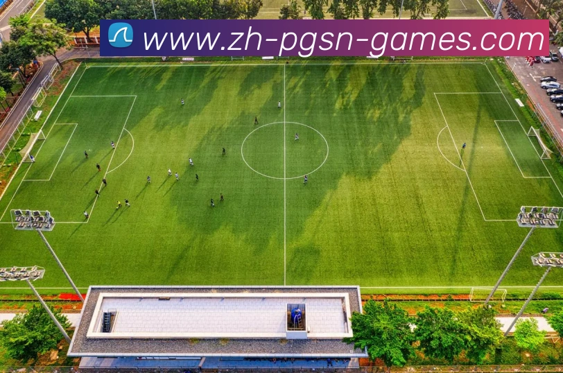 pg电子娱乐官网平台生态图